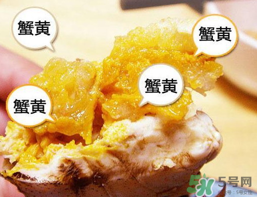 六月黃大閘蟹好吃嗎？六月黃和大閘蟹有什么區(qū)別？