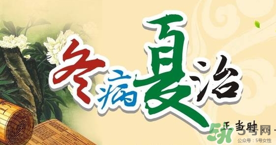 三伏灸要灸幾次？三伏灸要灸多久？