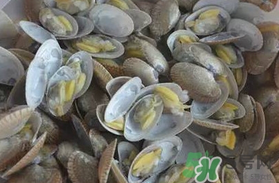 花蛤蜊什么時(shí)候最肥？花蛤蜊怎么挑選