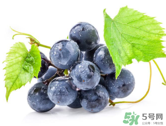 夏黑葡萄為什么掉色？夏黑葡萄怎么會染色？