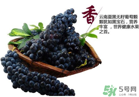 夏黑葡萄怎么保存？夏黑葡萄可以放冰箱嗎？