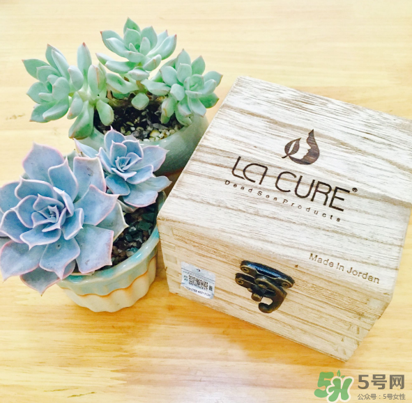 天然死海礦物泥面膜怎么樣？天然死海礦物泥面膜好用嗎？