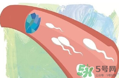 男性避孕藥什么牌子好？男性避孕藥多少錢一盒？
