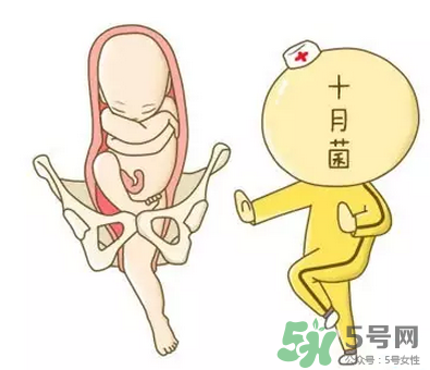 胎位不正能順產(chǎn)嗎？胎位不正怎么辦？