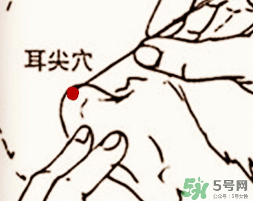 什么是放血療法？放血療法能治什么病