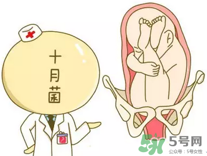 胎位不正能順產(chǎn)嗎？胎位不正怎么辦？