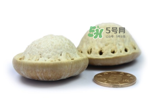 風(fēng)流果泡酒要不要敲碎？壯陽(yáng)果泡水要不要敲碎？