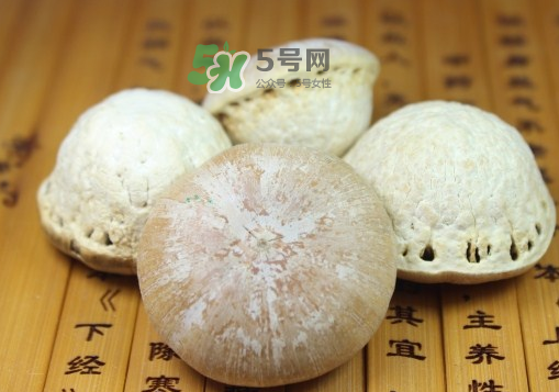 風(fēng)流果泡酒要不要敲碎？壯陽(yáng)果泡水要不要敲碎？