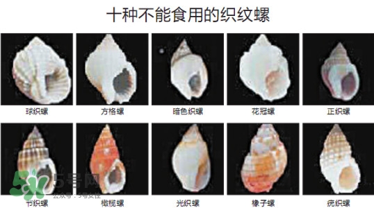 哪些人不能吃田螺？哪些田螺不能吃