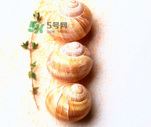 田螺是寒性的嗎？田螺煮多久殺死寄生蟲