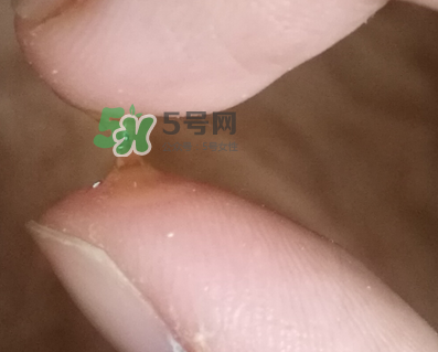 SKINCEUTICALS修麗可夜間精華怎么樣_好用嗎？