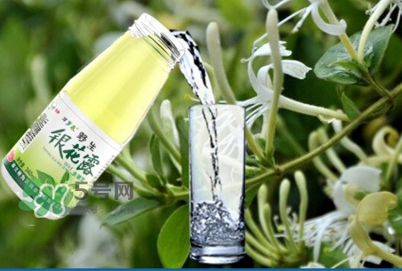 金銀花露是涼性的嗎？喝金銀花露有什么好處