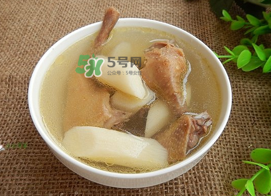 三伏天能吃鴿子嗎？三伏天能喝鴿子湯嗎？