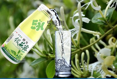 金銀花露可以冷藏嗎？金銀花露能放冰箱嗎？