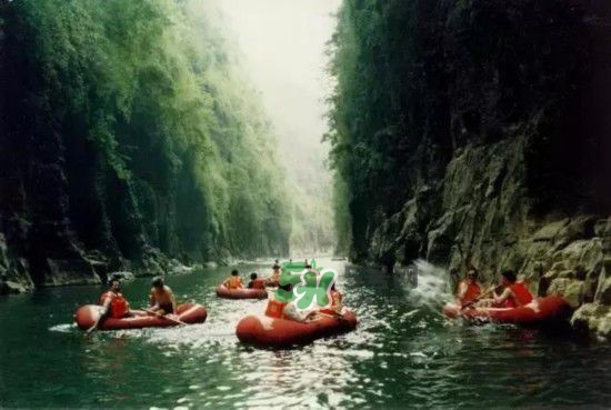 漂流需要準(zhǔn)備什么東西？漂流哪里最好玩？