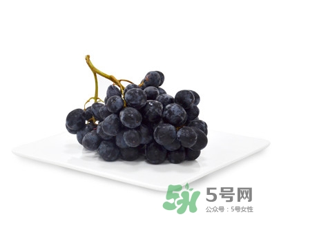 黑提有籽嗎？黑提是什么季節(jié)的水果