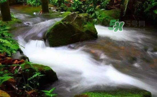 漂流需要準(zhǔn)備什么東西？漂流哪里最好玩？