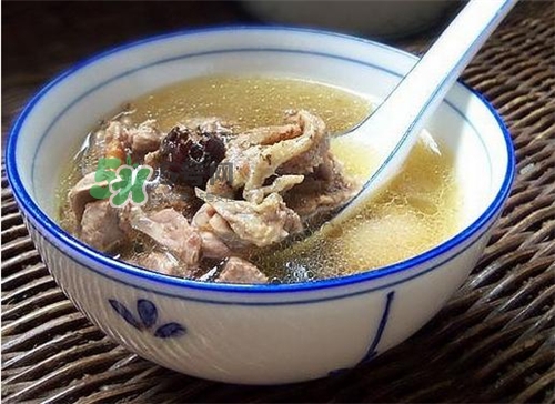 三伏天能吃鴿子嗎？三伏天能喝鴿子湯嗎？