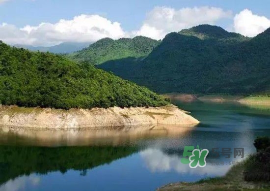 漂流需要準(zhǔn)備什么東西？漂流哪里最好玩？
