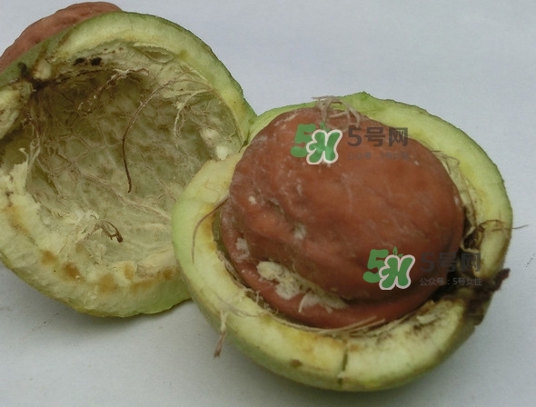 核桃最外面的青皮有什么用？為什么摸了核桃的青皮手會(huì)黑？
