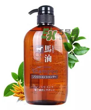 熊野馬油洗發(fā)水起頭屑嗎？KUMANO洗發(fā)水用完長頭屑嗎？