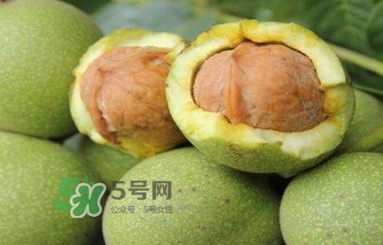 一斤青皮核桃退皮后剩多少？青皮核桃和普通核桃的區(qū)別