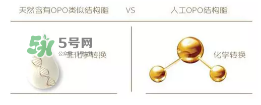 奶粉里面的OPO是什么？opo是天然的還是后期添加的？