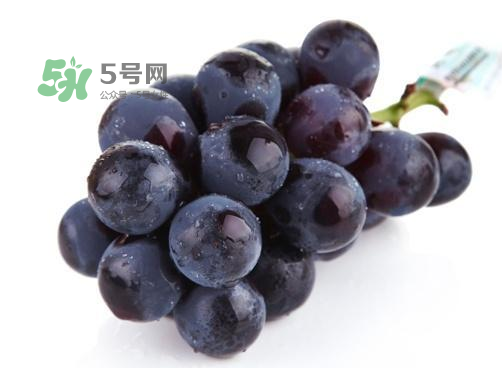 巨峰葡萄是酸性還是堿性？巨峰葡萄是堿性的嗎？