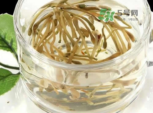 金銀花茶要怎樣泡才好喝？金銀花茶最佳泡茶水溫是多少