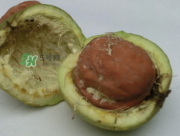 青皮核桃是怎么變成干核桃的？吃核桃為什么有酒味