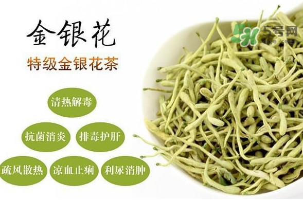 金銀花茶是去火的嗎？金銀花茶有什么功效與作用