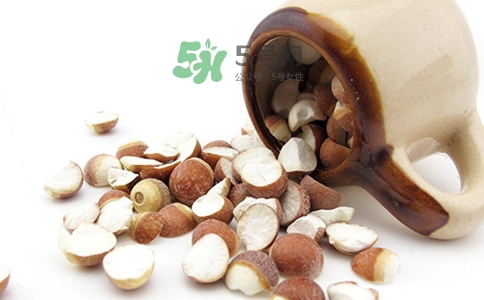 三伏天可以補腎嗎？三伏天可以進補嗎？