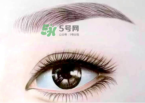 三伏天能紋眉嗎？三伏天紋眉毛好嗎？