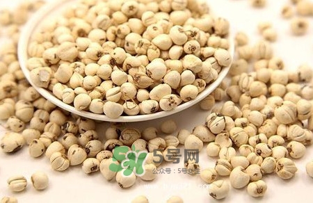 川貝母是苦的嗎？川貝母是涼性的嗎