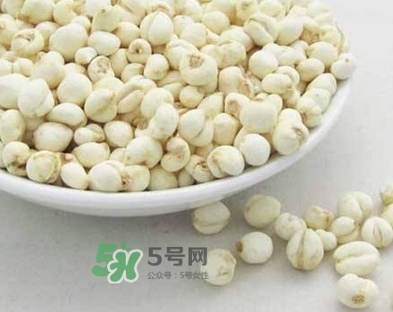 川貝母是川貝嗎？川貝母是酸性還是堿性？