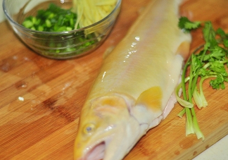 金鱒魚清蒸為什么變黑？食用金鱒魚有什么好處