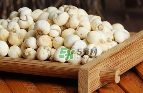 川貝母可以直接吃嗎？川貝母可以泡水喝嗎