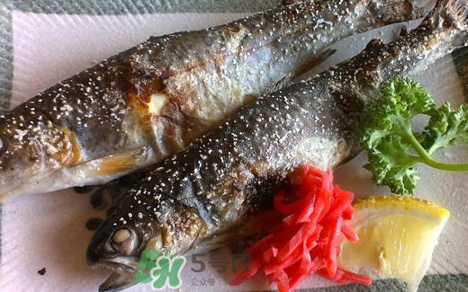 鱒魚(yú)是三文魚(yú)嗎？鱒魚(yú)是什么魚(yú)