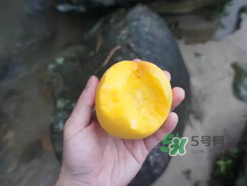 炎陵黃桃什么時(shí)候成熟？炎陵黃桃好吃嗎？