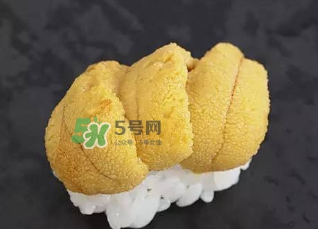 海膽怎么處理？海膽可以生吃嗎？