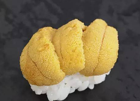 活海膽怎么殺？海膽怎么開殼？