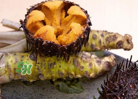 被海膽刺到怎么辦？吃海膽對(duì)身體有什么好處