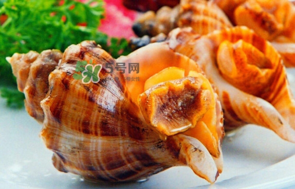 為什么海螺殼里面會(huì)有聲音？海螺和韭菜能不能一起吃