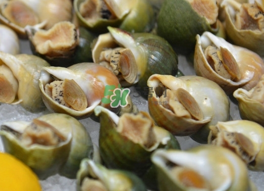 海螺怎么做好吃？海螺怎么清洗干凈