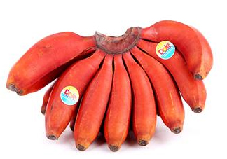 紅香蕉是哪里的特產(chǎn)？紅香蕉什么時(shí)候成熟？