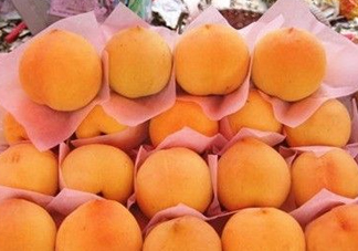 錦繡黃桃什么時(shí)候成熟？錦繡黃桃?guī)自鲁墒欤?><p><strong>錦繡黃桃什么時(shí)候成熟？錦繡黃桃?guī)自鲁墒欤?/strong></p></a></li> <li><a href=