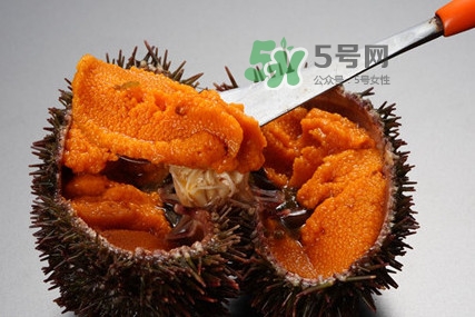 海膽怎么處理？海膽可以生吃嗎？