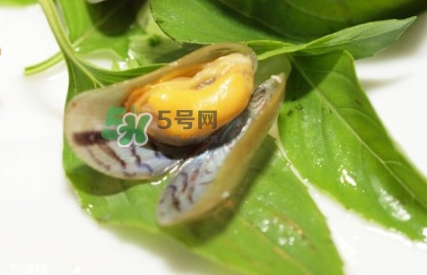 薄殼怎么讀？薄殼怎么洗干凈