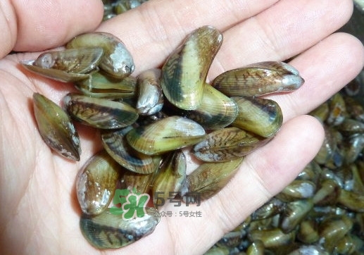 薄殼米是什么？薄殼怎么炒好吃？