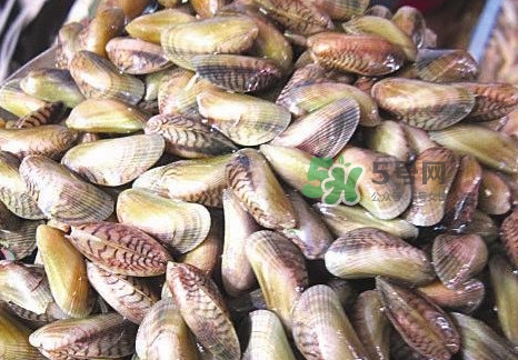 海瓜子煮多久能熟？海瓜子為什么放在水里殼不張開(kāi)